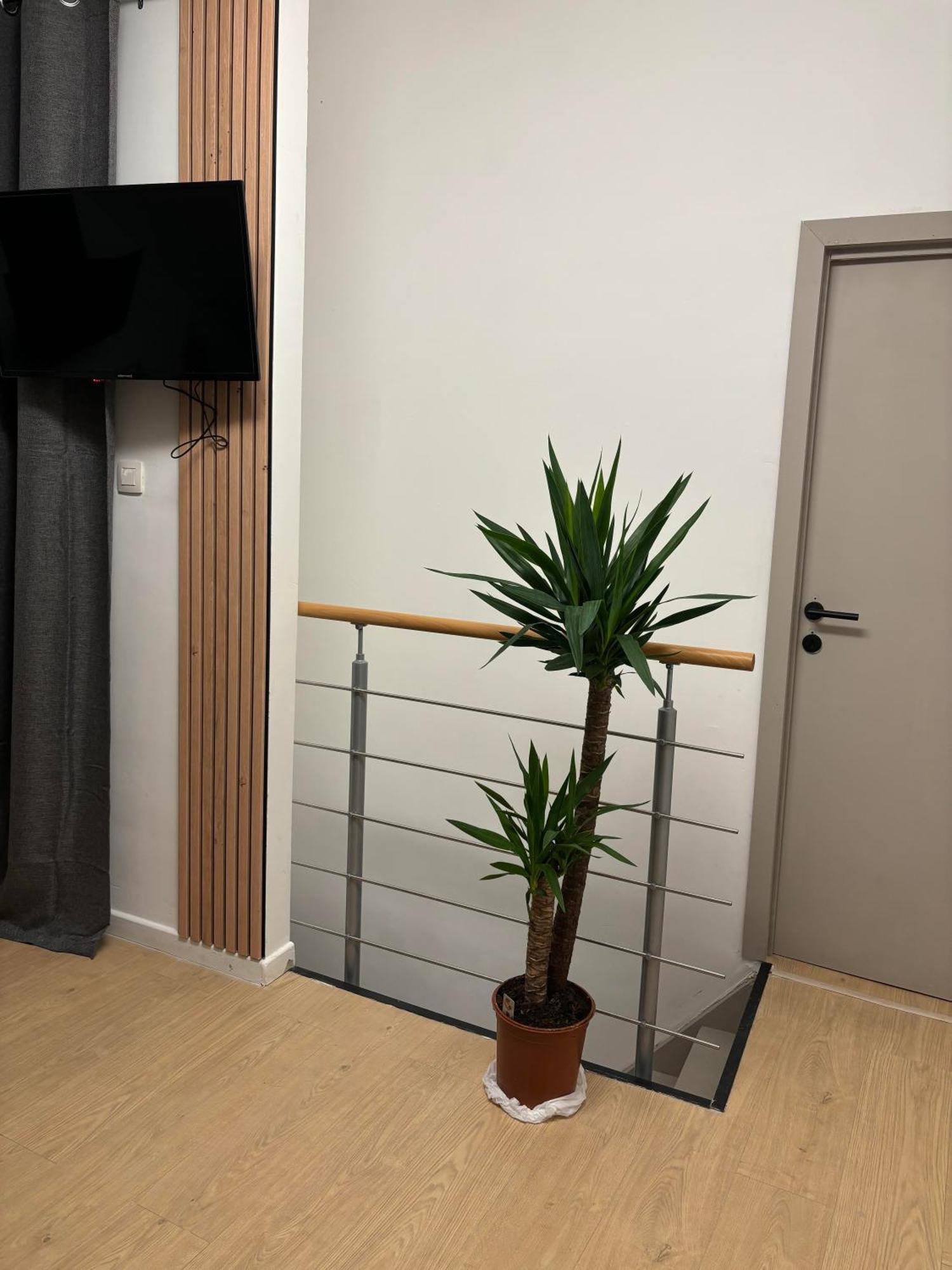 Ubuntu House - Charleroi Apartment Ngoại thất bức ảnh
