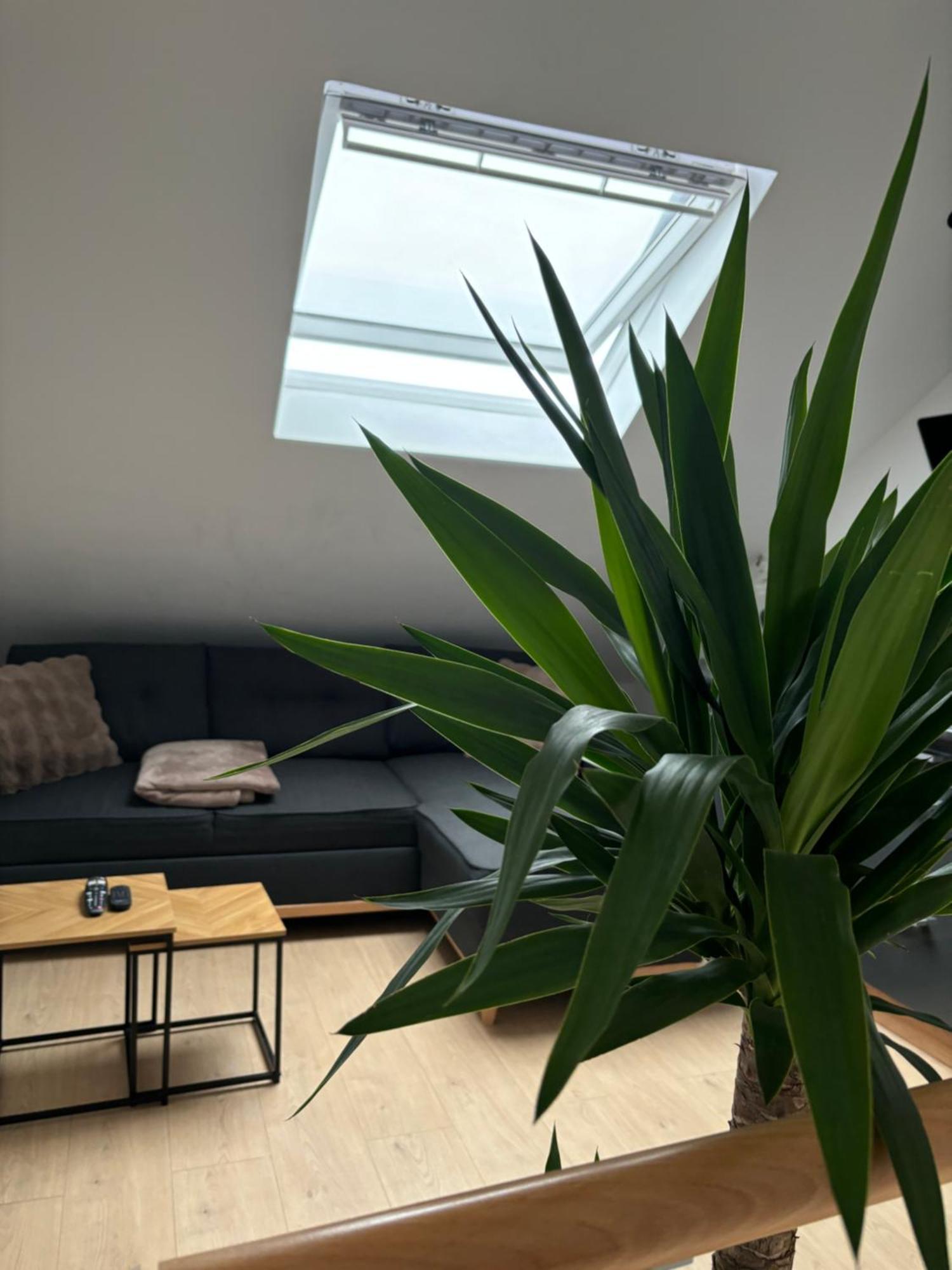 Ubuntu House - Charleroi Apartment Ngoại thất bức ảnh